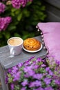 Coffee with cake in the garden Royalty Free Stock Photo