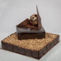 Coffee with chocolate author`s cake, handmade, design, sugar free. Tasty and fieldÃÅ½