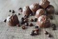 Coffee chocolate pralines Royalty Free Stock Photo