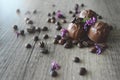 Coffee chocolate pralines Royalty Free Stock Photo