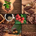Coffee collage Royalty Free Stock Photo