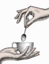 Coffee collection. Hands holding a cup of coffee and coffee spoon