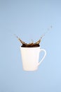 Coffee concept. Minimal art. Solid background. Coffee splashes.