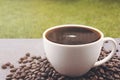 Coffee cop and brown roasted coffee beans in the garden. Royalty Free Stock Photo