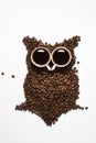 Coffee core owl Royalty Free Stock Photo