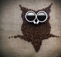 Coffee core owl Royalty Free Stock Photo
