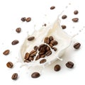 Coffee Cream Splash with Coffee Beans Isolated on White Background Royalty Free Stock Photo