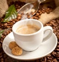 Coffee cup Royalty Free Stock Photo