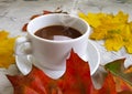 Coffee cup autumn leaves aromatic vintage comfort on concrete background