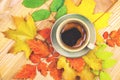 Coffee cup and autumn leaves over wood background.