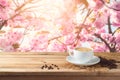 Coffee cup with coffee beans on wooden table over blossom cherry tree blurred background with copy space Royalty Free Stock Photo