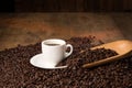 Coffee cup on bed of roasted beans Royalty Free Stock Photo