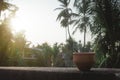 Coffee cup Bhar in sunset sunlight. Summer fresh cool look. Muddy mud tea cup made of clay for hot drink on roof beam of a