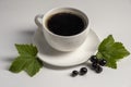 Coffee cup with black currant on a white background. New taste of coffee. Royalty Free Stock Photo