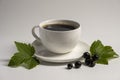 Coffee cup with black currant on a white background. New taste of coffee. Royalty Free Stock Photo