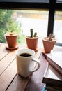 Coffee cup, book and cactus Royalty Free Stock Photo