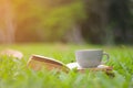 Coffee cup and books in the green grass Royalty Free Stock Photo
