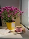 Coffee cup chocolate notebook beautiful pink autumn Chrysanthemum flowers in yellow pot on window. Cozy home Royalty Free Stock Photo