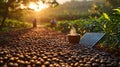 Coffee cup on coffee beans path, solar panel, sunrise, farmers in background Royalty Free Stock Photo