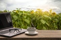 Coffee cup, eye glasses  and laptop on the wood texture on sun flower field background Royalty Free Stock Photo