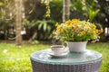 Coffee cup  with flower in vase on table in the garden on morning summer Royalty Free Stock Photo