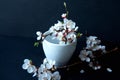Coffee cup and flowering branch of apricot