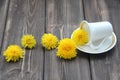 Coffee Cup and flowers of dandelions Royalty Free Stock Photo