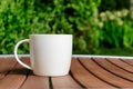 Coffee cup in green garden on table Royalty Free Stock Photo