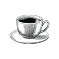 Coffee cup hand drawing engraving stlye.Coffee cup atique style