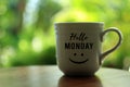 Coffee cup and Hello Monday greeting with an happy big smile emoticon on it, on fresh light green background. Copy space.