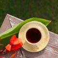 Coffee cup, large tropical green canna leaf and red flower on wood. Copy space for your text and product. Top view, flat lay, Royalty Free Stock Photo