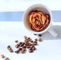 In a coffee cup lying on its side, a dry rose bud Royalty Free Stock Photo