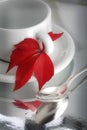 Coffee cup and maple leaf