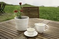 A coffee cup, a milk pitcher and a white flower pot on a table Royalty Free Stock Photo