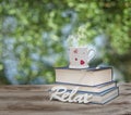 Coffee cup mug and books over wooden table outdoors, at afternoon time. I love to relax. Royalty Free Stock Photo