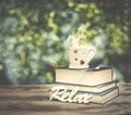 Coffee cup mug and books over wooden table outdoors, at afternoon time. I love to relax. Royalty Free Stock Photo