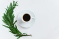 Top view of coffee cup and pine brunch on white background with space for text. Minnimal, seasonal coffee time concept Royalty Free Stock Photo