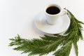 Coffee cup and pine brunch on white background with space for text. Minnimal coffee time concept Royalty Free Stock Photo