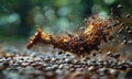 A coffee cup with a splash of coffee and coffee beans Royalty Free Stock Photo