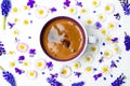 Coffee cup and spring flowers on white background flat lay Royalty Free Stock Photo