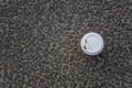 Coffee cup with a white cap on a gray asphalt top view. rough surface texture