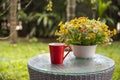 Coffee cup on wooden with flower in vase on table, in the garden on summer Royalty Free Stock Photo