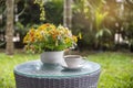 Coffee cup on wooden with flower in vase on table, in the garden on summer. relaxation concept Royalty Free Stock Photo