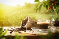 Coffee cup on wooden table and beans in coffee plantation Royalty Free Stock Photo