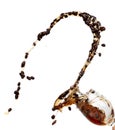 Coffee drink water mix bean seed fall pouring down form line of espresso black coffee splashes drop roasted coffee bean attack Royalty Free Stock Photo