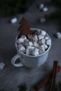 Coffee drink with white marshmallows and cocoa with gingerbread in the form of a spruce