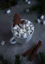 Coffee drink with white marshmallows and cocoa with gingerbread in the form of a spruce