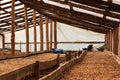 Coffee farm drying beans on trays in hangar with foof Royalty Free Stock Photo