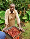 Coffee farmer