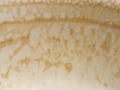 Coffee foam. Coffee foam. Fabstract spotted background Royalty Free Stock Photo